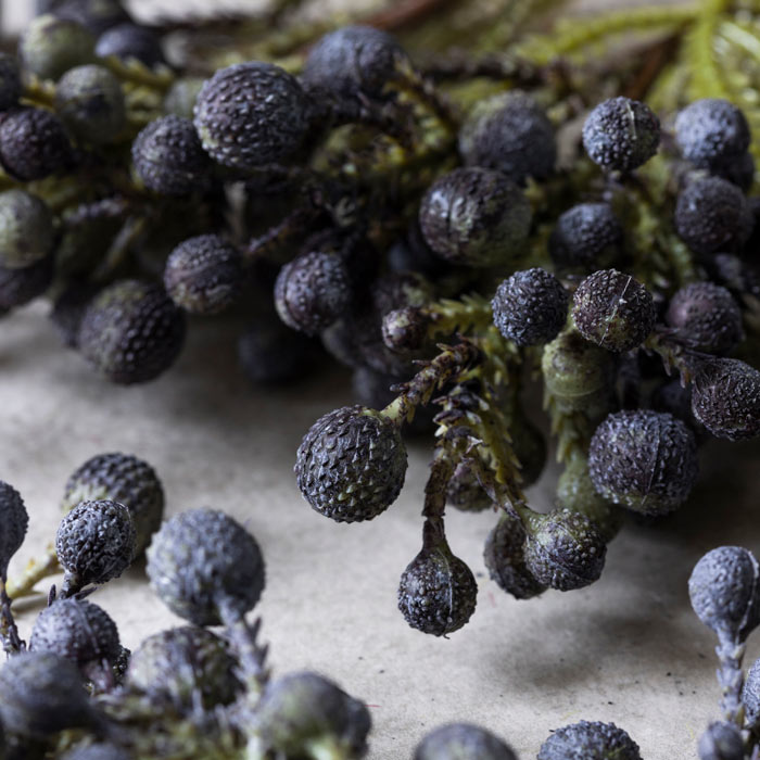 ARTIFICIAL BRUNIA BERRY