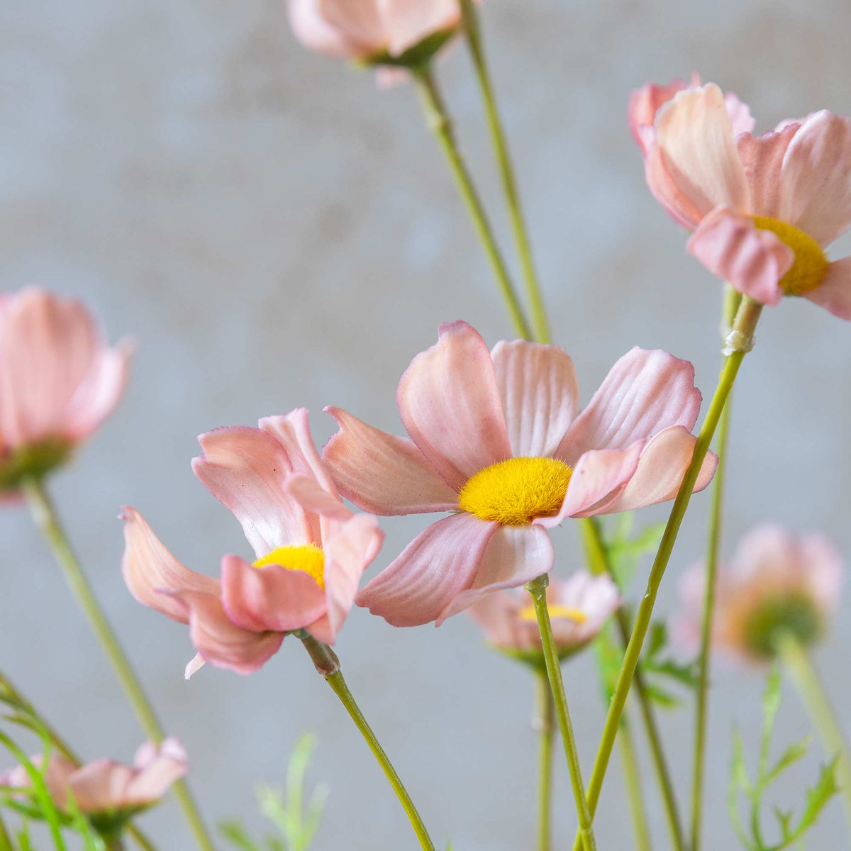 ARTIFICIAL COSMOS MEADOW, SOFT PINK - *PRE ORDER* Due Early January 2027