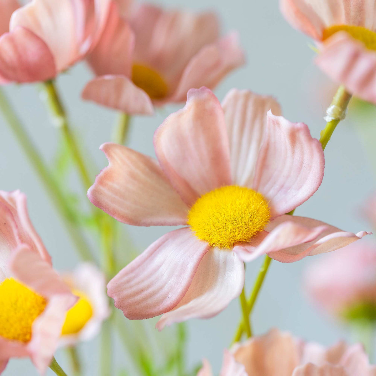 ARTIFICIAL COSMOS MEADOW, SOFT PINK - *PRE ORDER* Due Early January 2027