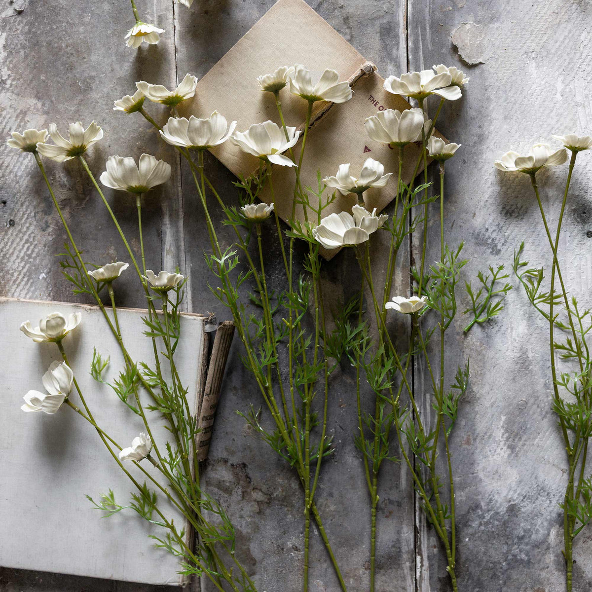 ARTIFICIAL COSMOS MEADOW, BUTTERMILK - *PRE ORDER* Due Early January 2027