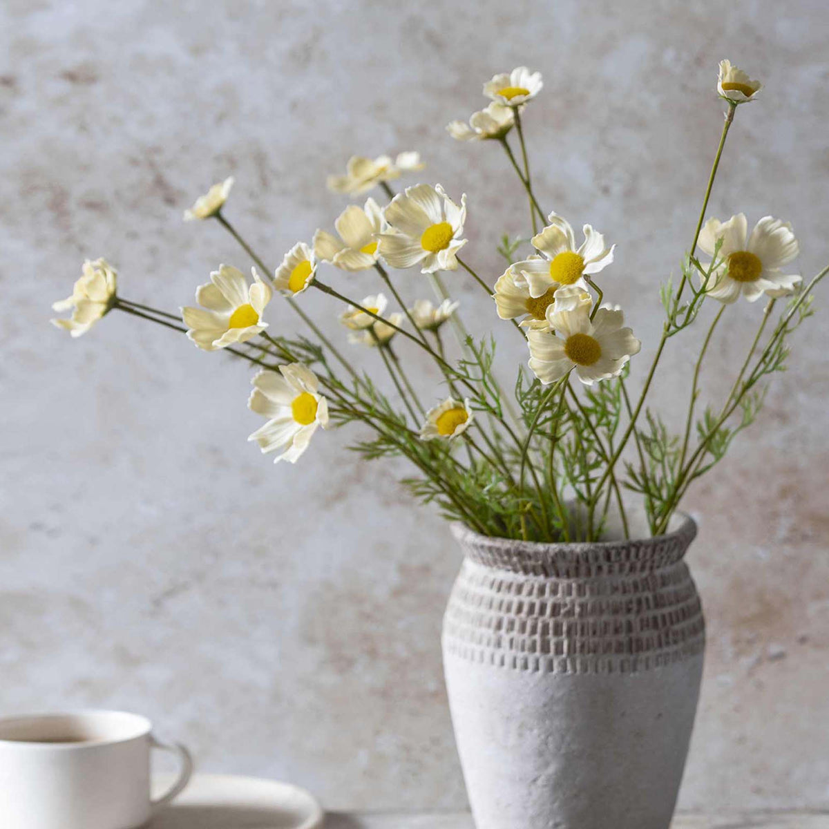ARTIFICIAL COSMOS MEADOW, BUTTERMILK - *PRE ORDER* Due Early January 2027
