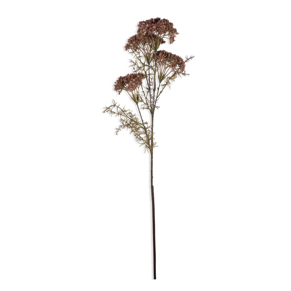 ARTIFICIAL DILL FLOWER - *PRE ORDER* Due Early January 2027