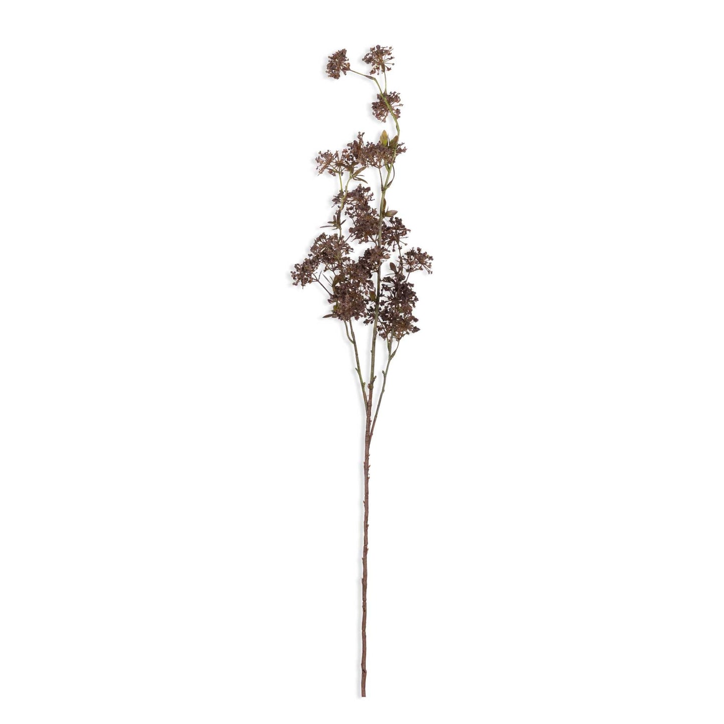 ARTIFICIAL HOGWEED - *Pre-order* SHIPPING July 2026