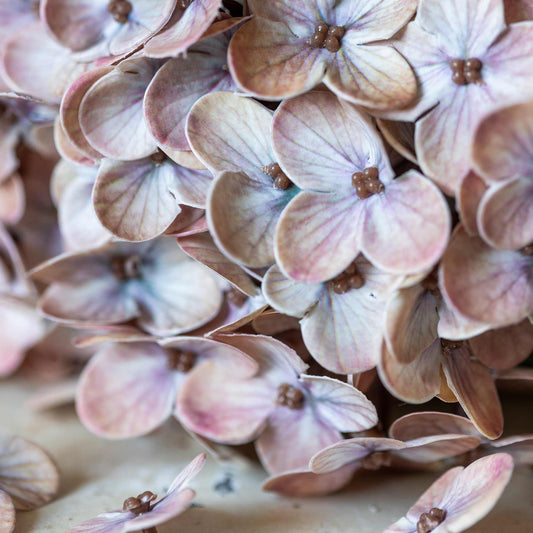 ARTIFICIAL REAL TOUCH HYDRANGEA, ANTIQUE BLUSH *Pre Order * July 2026