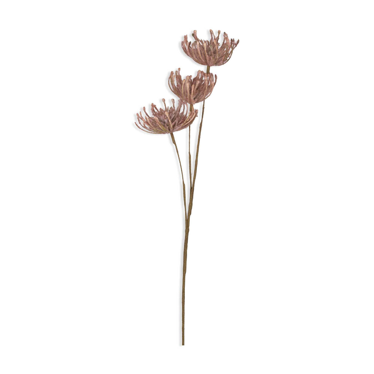 ARTIFICIAL LEUCOSPERMUM, BLUSH - LAST BOX