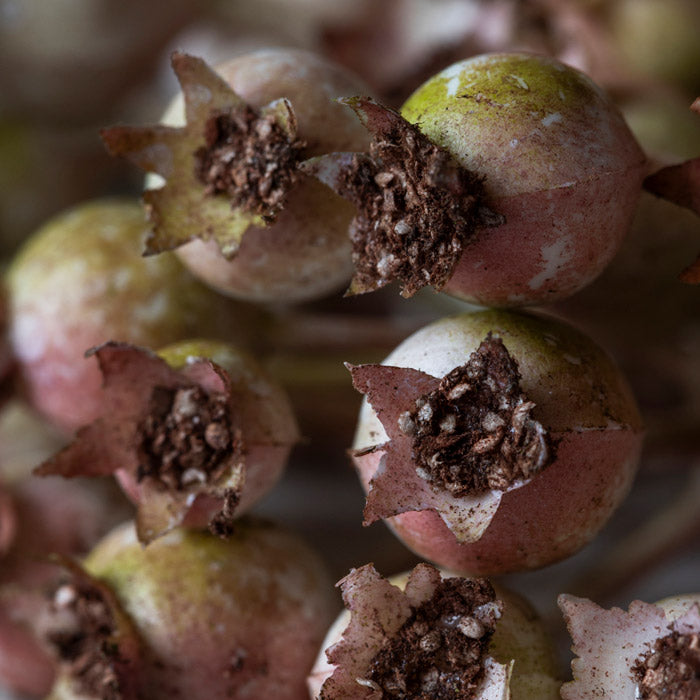 ARTIFICIAL ROSE HIP BUNCH BLUSH - *PRE ORDER* Due Early January 2027