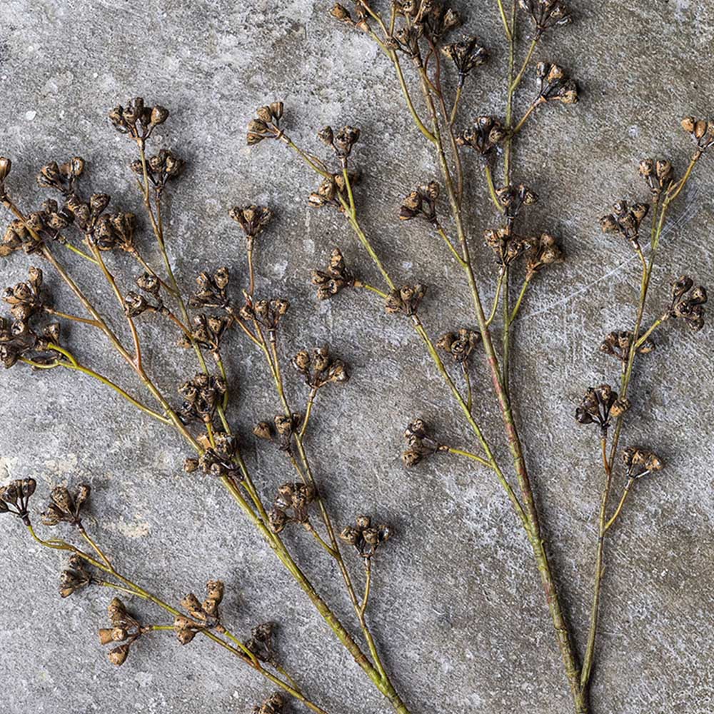 ARTIFICIAL SALIX BERRY - *Pre-order* SHIPPING July 2026
