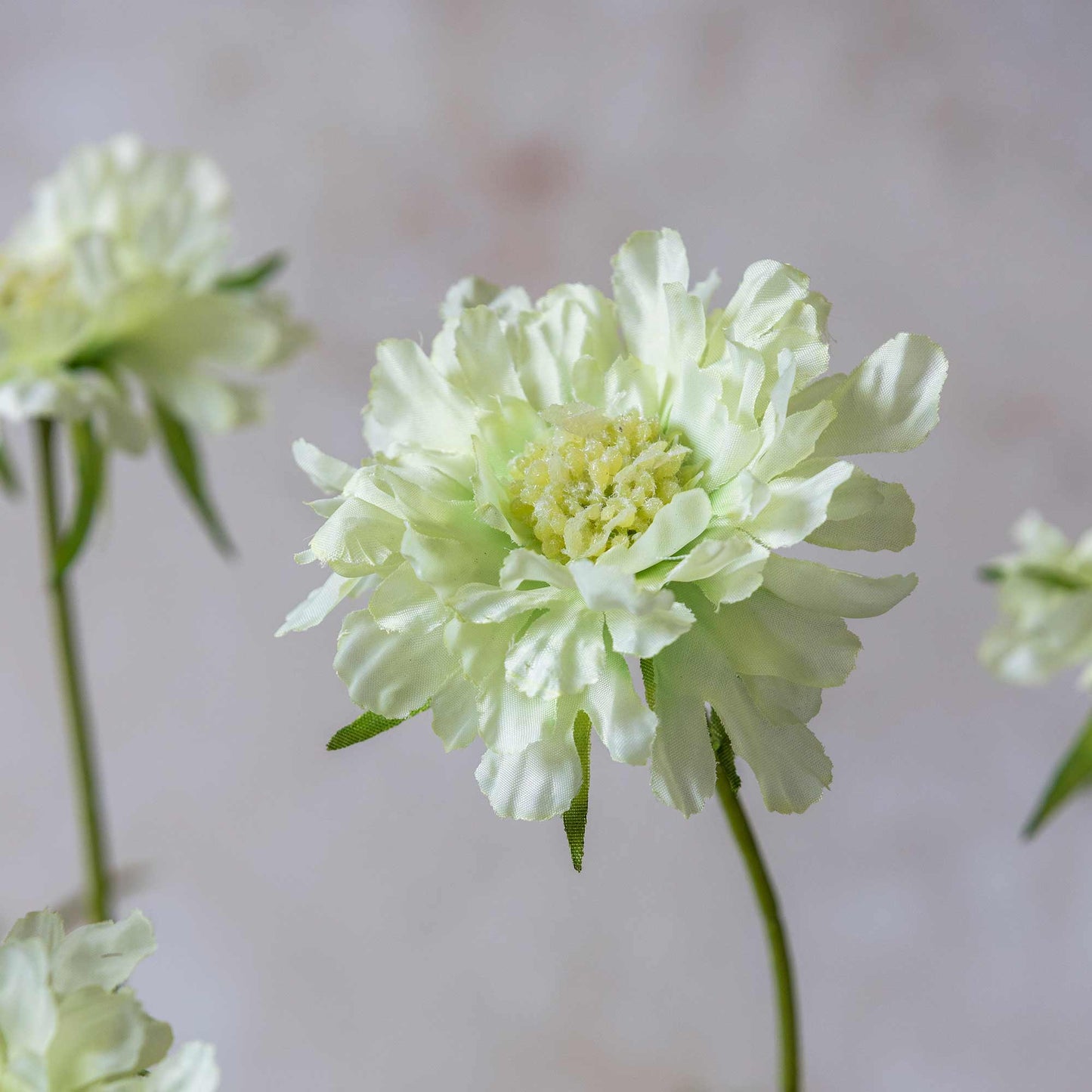 ARTIFICIAL SCABIOUS FLOWER, CREAM