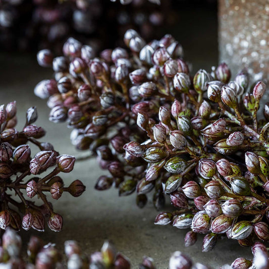 ARTIFICIAL SORGHUM, SUNRISE - *Pre-order* SHIPPING July 2026