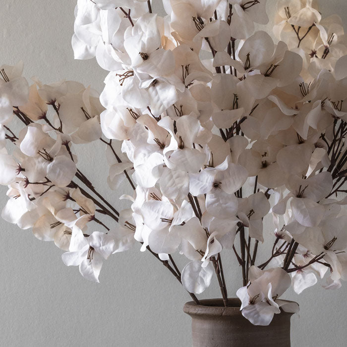 BOUGAINVILLEA BLUSH - LAST BOX