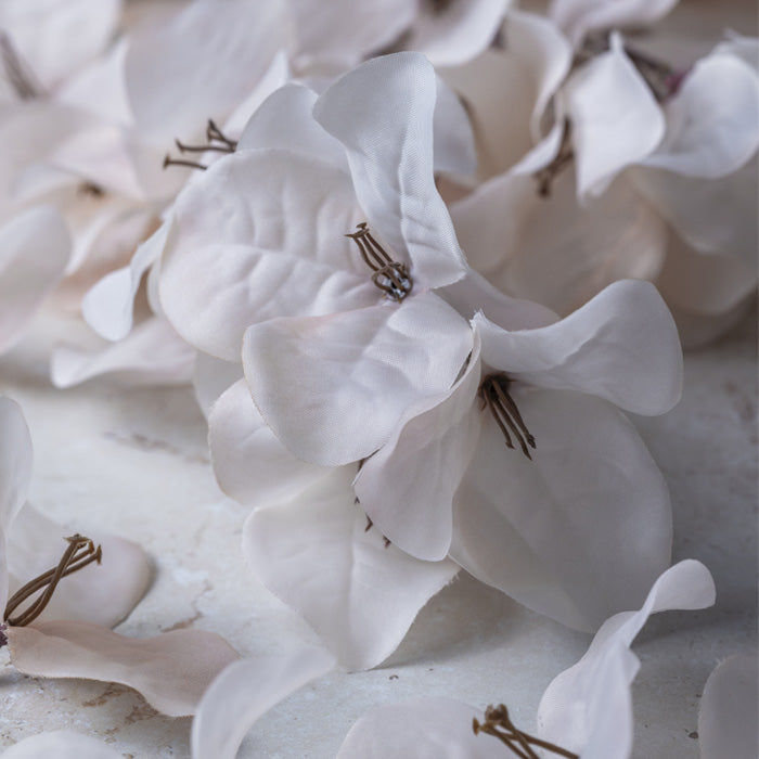 BOUGAINVILLEA BLUSH - LAST BOX