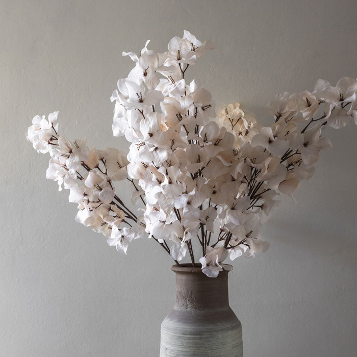 BOUGAINVILLEA BLUSH - LAST BOX