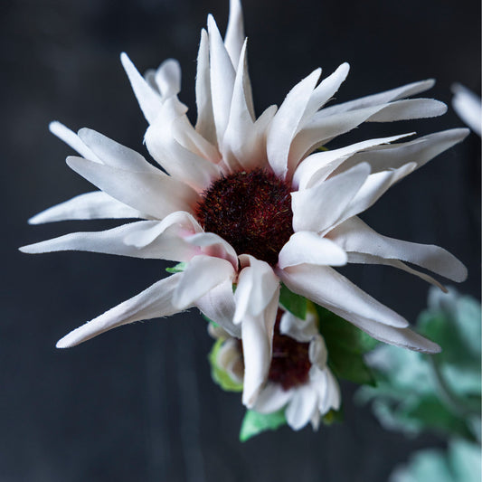 ARTIFICIAL CHRYSANTHEMUM BLUSH