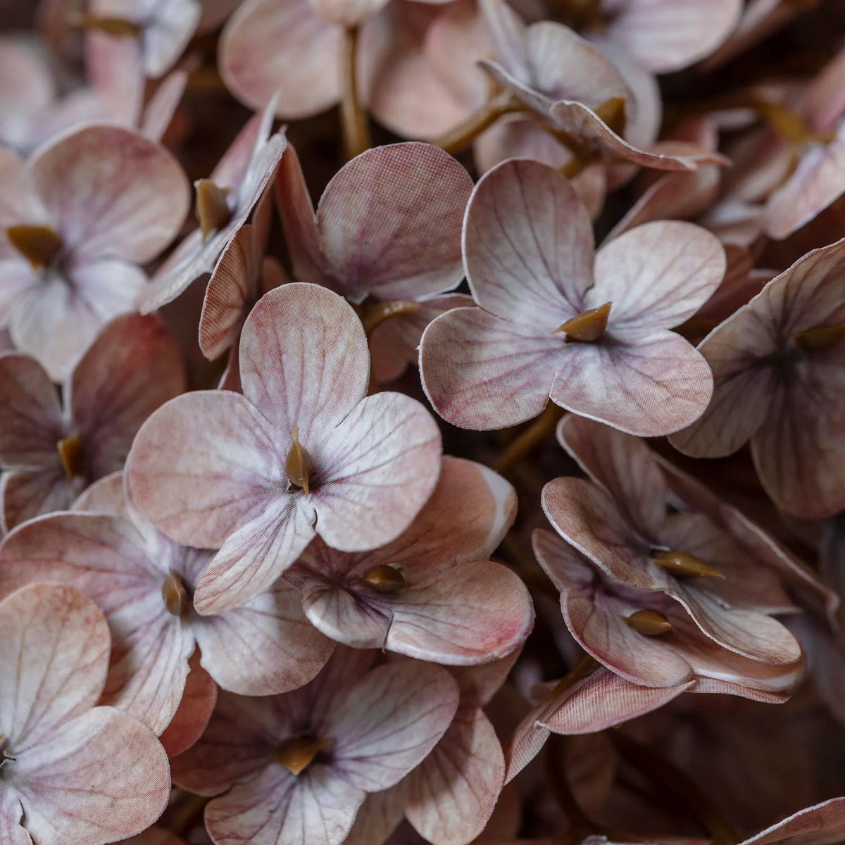 ARTIFICIAL CONE HYDRANGEA, ANTIQUE BLUSH - *PRE ORDER* Due Early January 2027