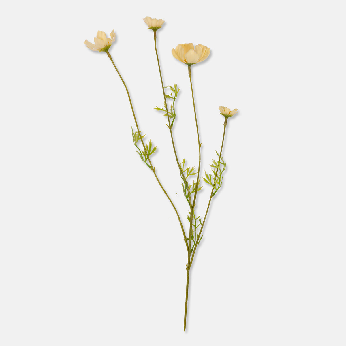 ARTIFICIAL COSMOS MEADOW, BUTTERMILK - *PRE ORDER* Due Early January 2027