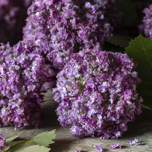 ARTIFICIAL GUELDER ROSE, MAUVE