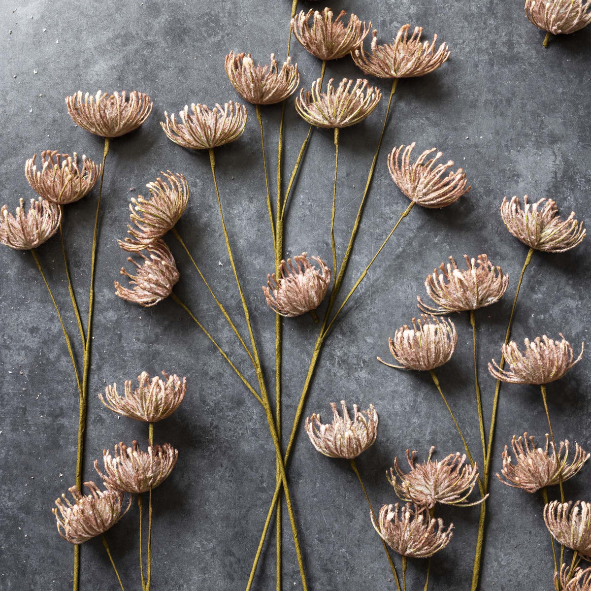 ARTIFICIAL LEUCOSPERMUM, BLUSH - LAST BOX