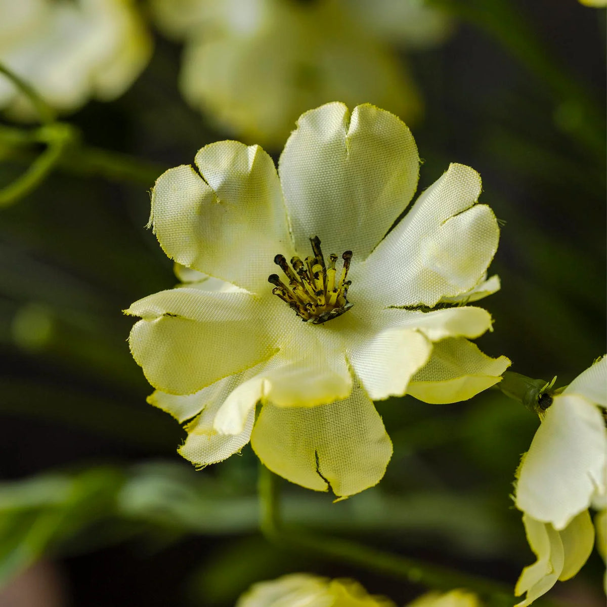 ARTIFICIAL WILD MEADOW BUTTERCUP, GOLDEN - *PRE ORDER* Due Mid November 2026