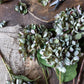 ARTIFICIAL HYDRANGEA, CHLORIS - *Pre-order* SHIPPING JULY 2026