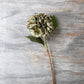 ARTIFICIAL HYDRANGEA, CHLORIS - *Pre-order* SHIPPING JULY 2026