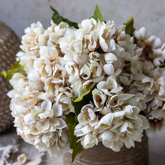 HYDRANGEA MORNING MIST
