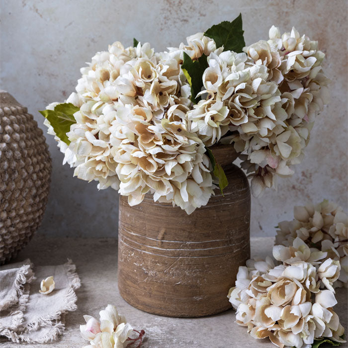 HYDRANGEA MORNING MIST