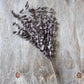 ARTIFICIAL EUCALYPTUS, PLUM