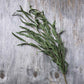 ARTIFICIAL WILLOW BRANCH, JADE