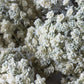 ARTIFICIAL YARROW STEM, CREAM