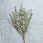 ARTIFICIAL HEATHER, SAGE - *Pre-order* SHIPPING July/Aug 2026