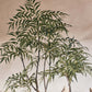 ARTIFICIAL PARLOUR PALM - *Pre-order* - SHIPPING JULY 2026