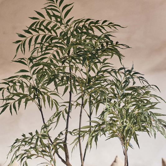 ARTIFICIAL PARLOUR PALM - *Pre-order* - SHIPPING JULY 2026