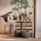 ARTIFICIAL PARLOUR PALM - *Pre-order* - SHIPPING JULY 2026