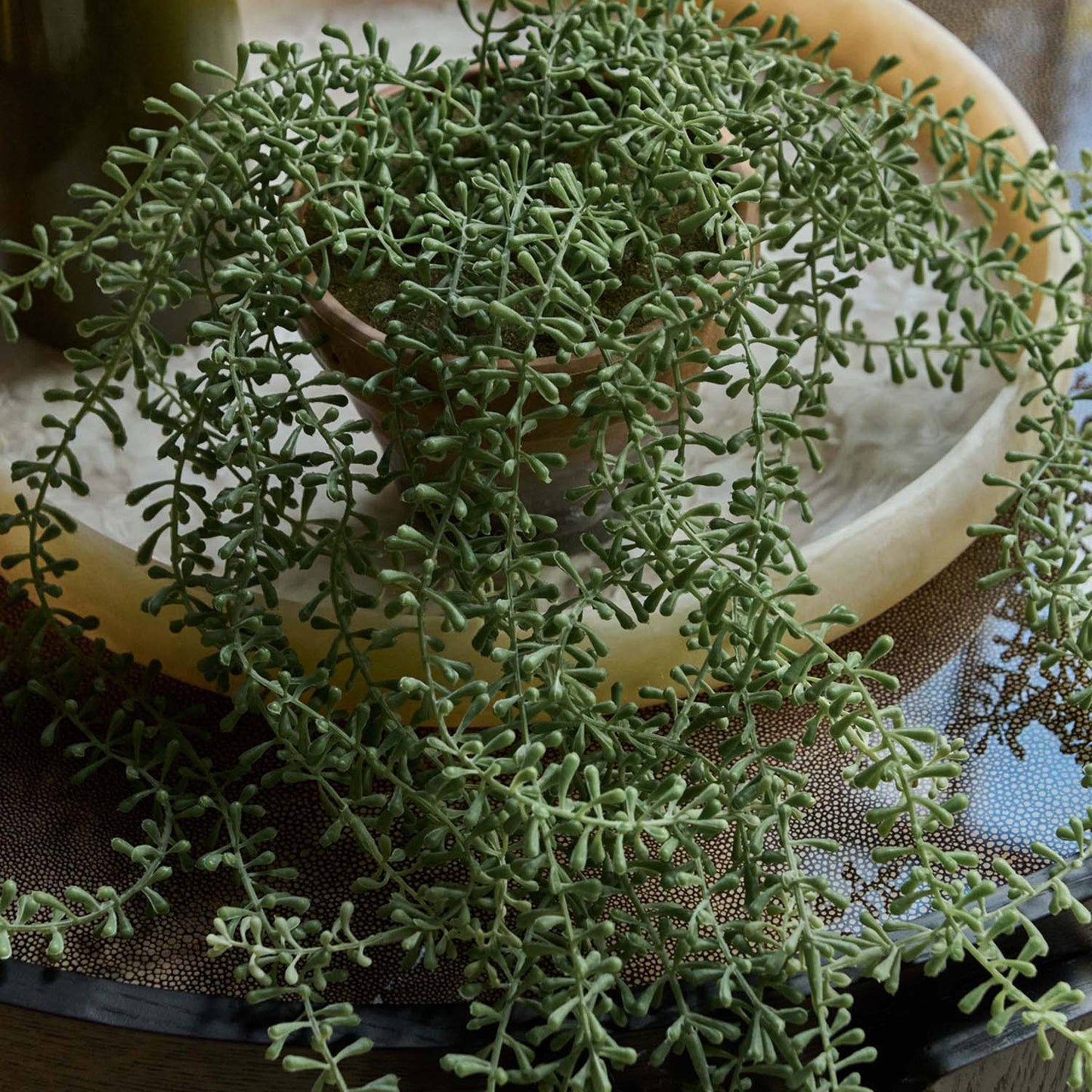 ARTIFICIAL TRAILING STRING OF PEARLS
