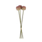 ARTIFICIAL ALLIUM, SUNSET