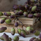 ARTIFICIAL BARBERRY - *Pre-order* SHIPPING July 2026