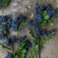 ARTIFICIAL BILBERRY BRANCH - *Pre-order* SHIPPING July 2026