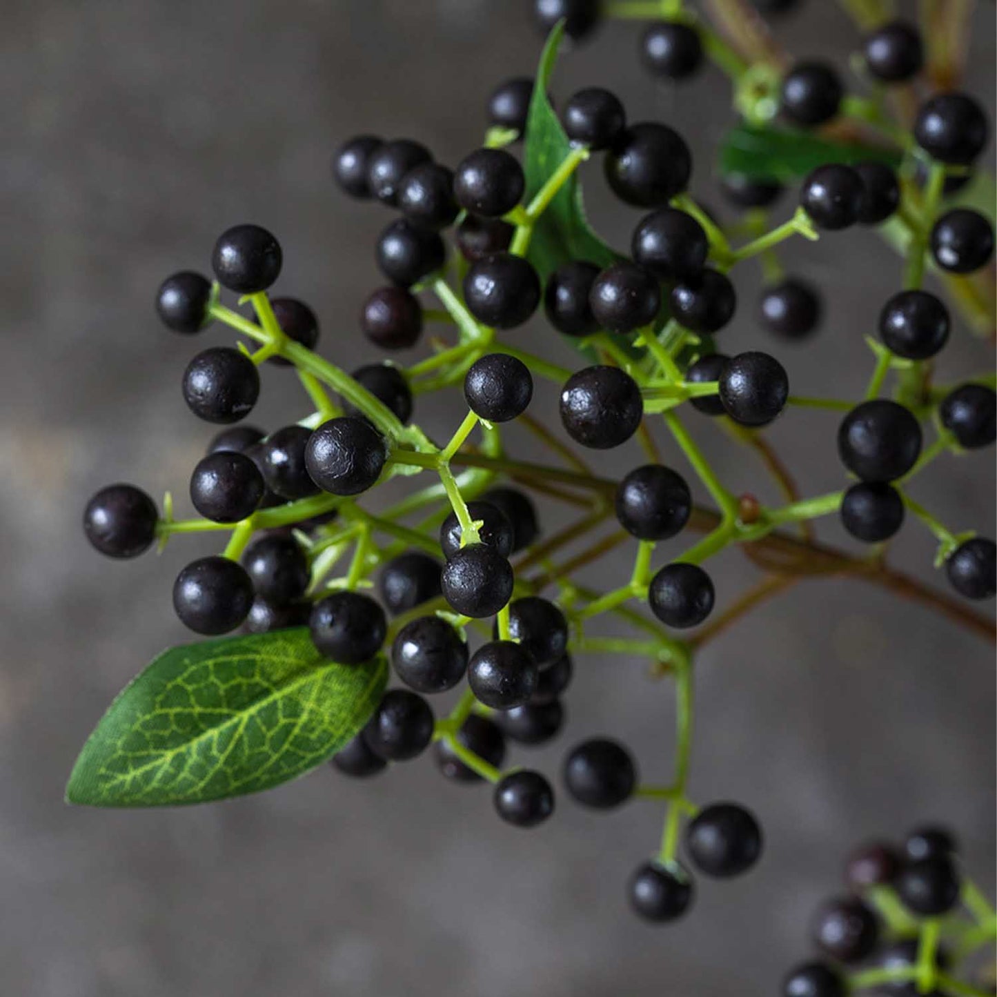 ARTIFICIAL BLACKENED VIBURNUM - *Pre-order* SHIPPING July 2026