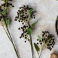 ARTIFICIAL BLACKENED VIBURNUM - *Pre-order* SHIPPING July 2026