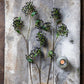 ARTIFICIAL BLACKENED VIBURNUM - *Pre-order* SHIPPING July 2026