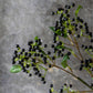 ARTIFICIAL BLACKENED VIBURNUM - *Pre-order* SHIPPING July 2026