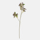 ARTIFICIAL BLACKENED VIBURNUM - *Pre-order* SHIPPING July 2026