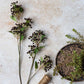ARTIFICIAL BLACKENED VIBURNUM - *Pre-order* SHIPPING July 2026