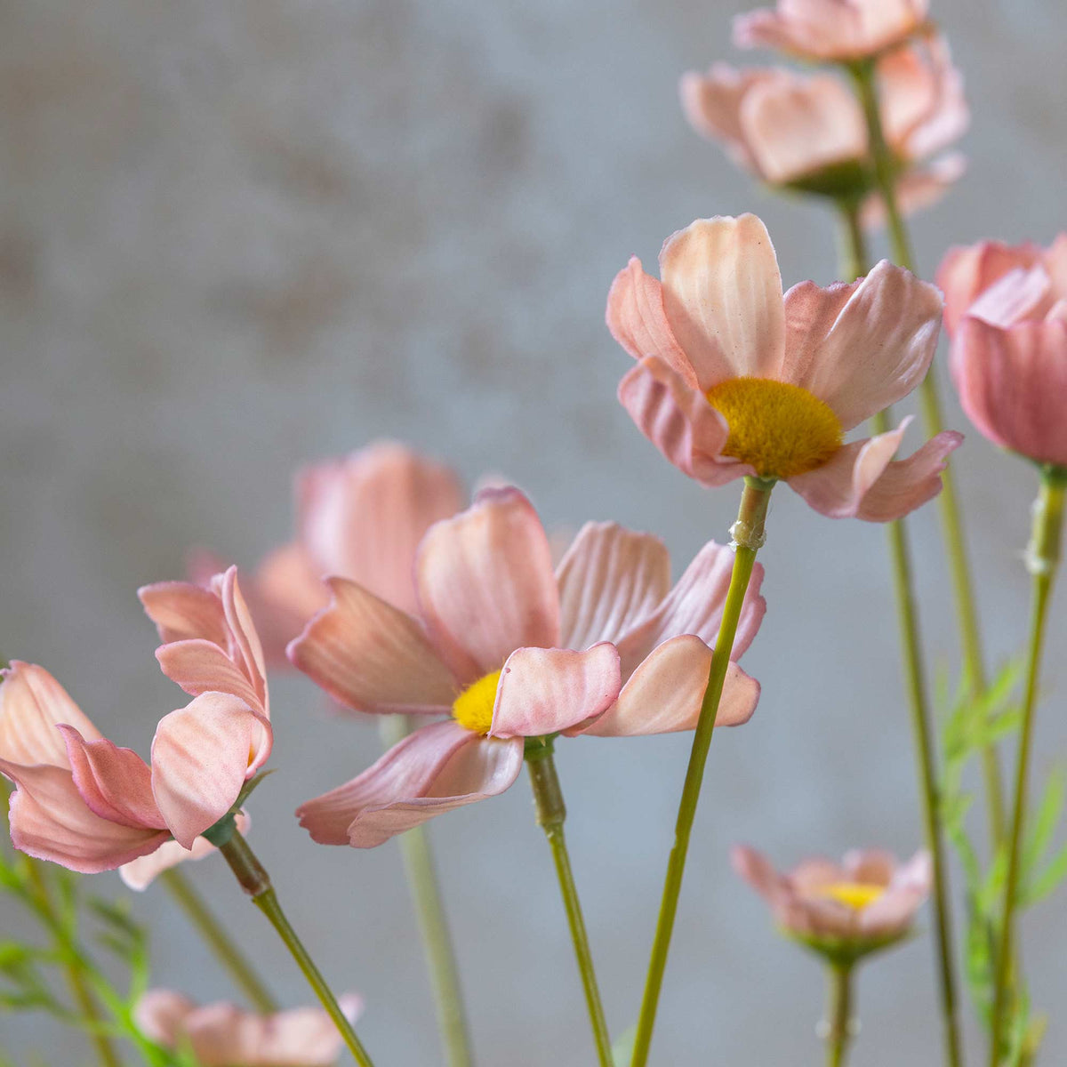 ARTIFICIAL COSMOS MEADOW, SOFT PINK - *PRE ORDER* Due Early January 2027