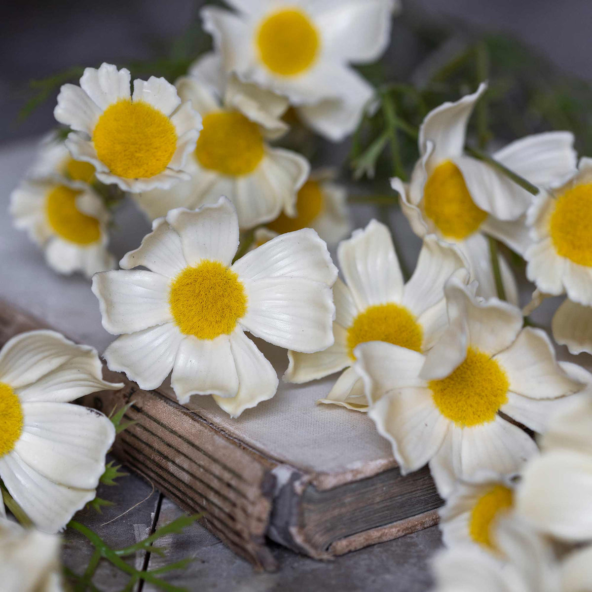ARTIFICIAL COSMOS MEADOW, BUTTERMILK - *PRE ORDER* Due Early January 2027