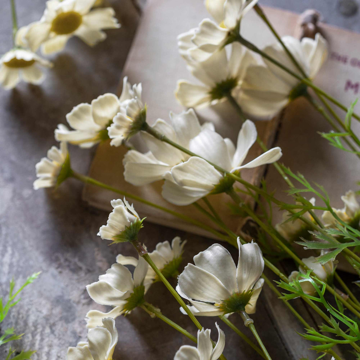 ARTIFICIAL COSMOS MEADOW, BUTTERMILK - *PRE ORDER* Due Early January 2027
