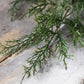 ARTIFICIAL CYPRESS BRANCH - *Pre-order* SHIPPING July 2026