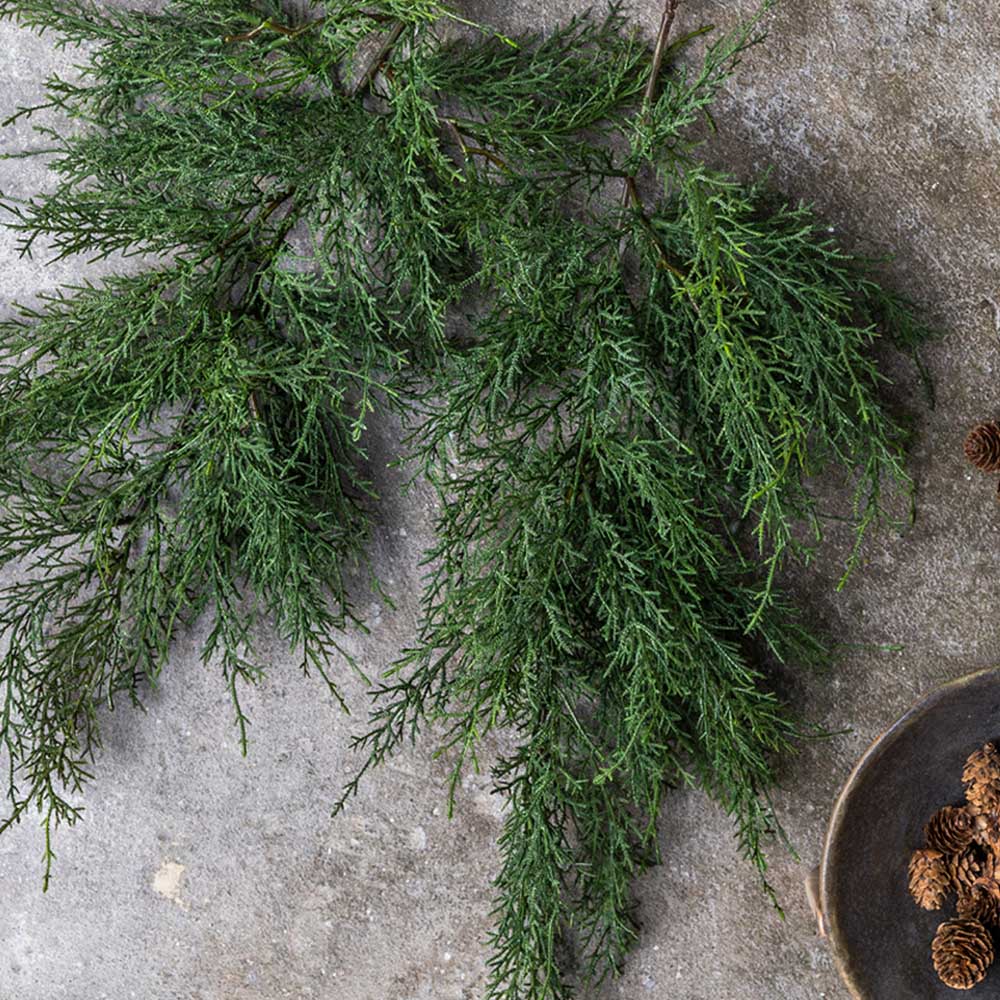 ARTIFICIAL CYPRESS BRANCH - *Pre-order* SHIPPING July 2026