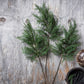 ARTIFICIAL CYPRESS BRANCH - *Pre-order* SHIPPING July 2026