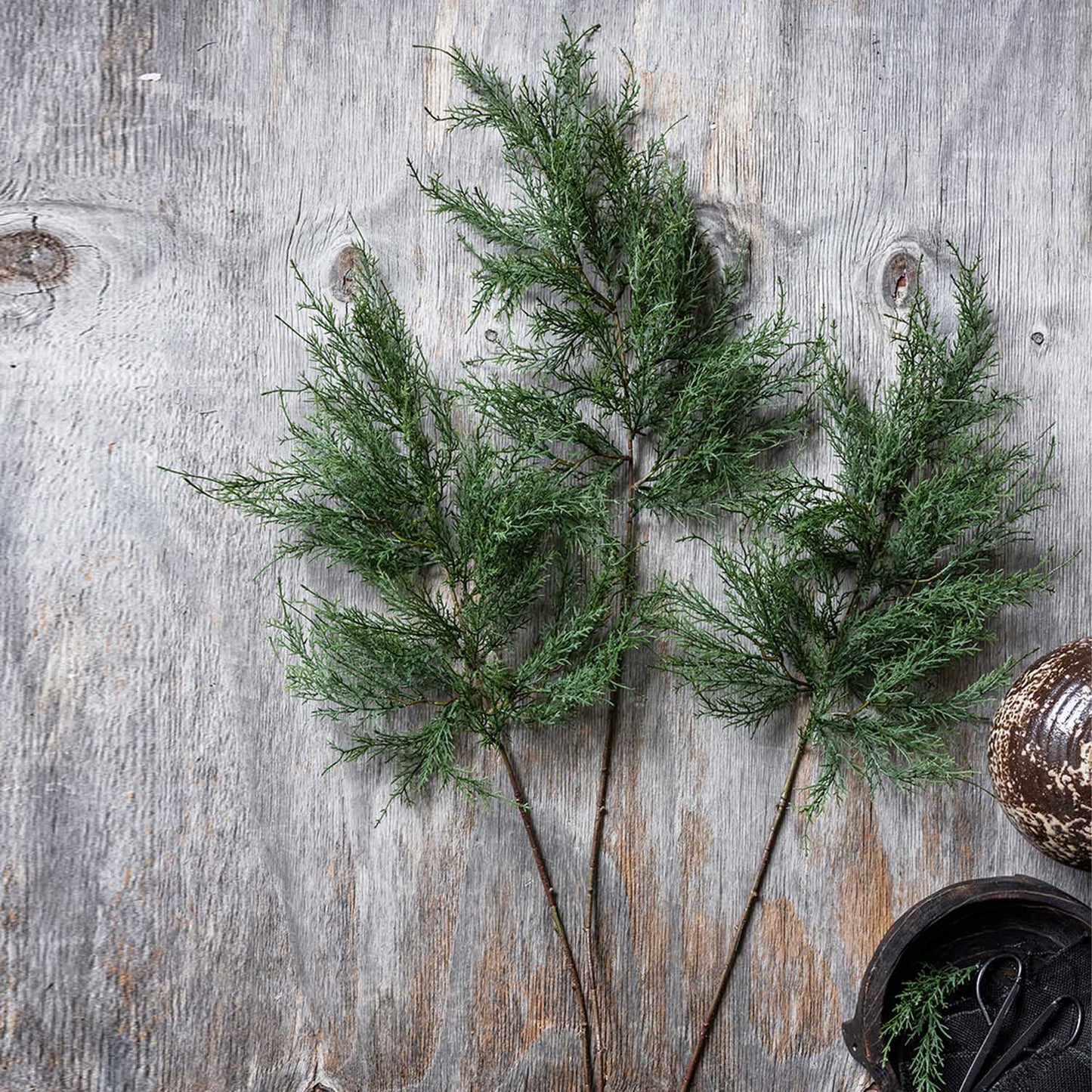 ARTIFICIAL CYPRESS BRANCH - *Pre-order* SHIPPING July 2026